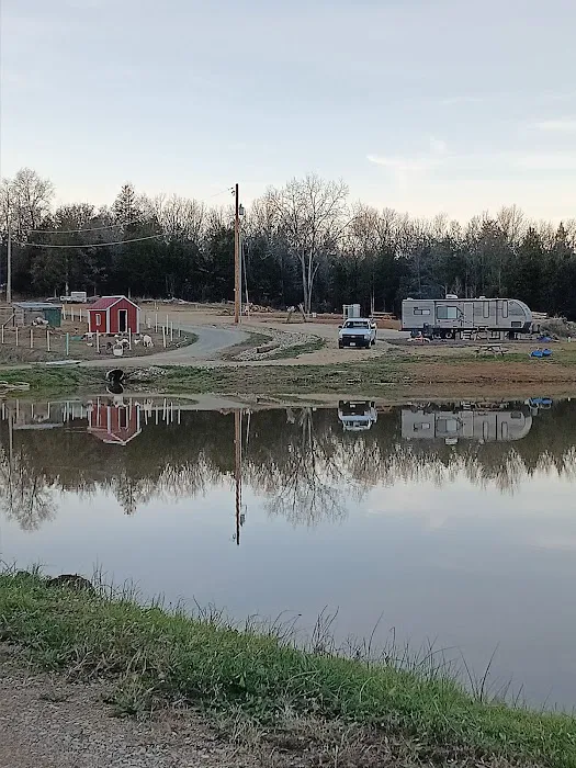 Patt's Place, LLC 5