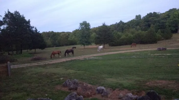 Starner Camping & Stables 0