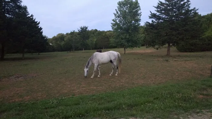 Starner Camping & Stables 7
