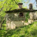 Markham Spring Recreation Area