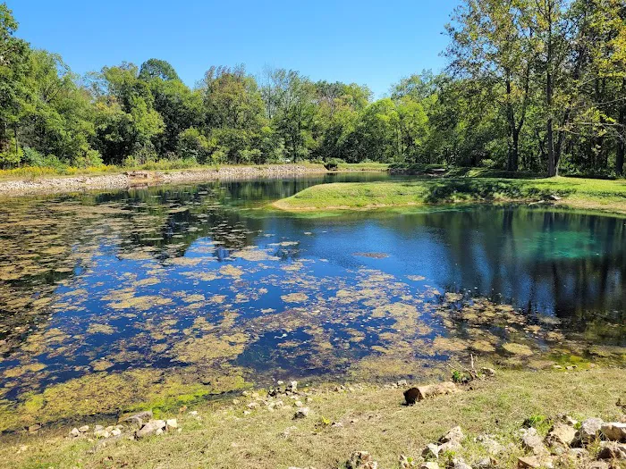 Markham Spring Recreation Area 4