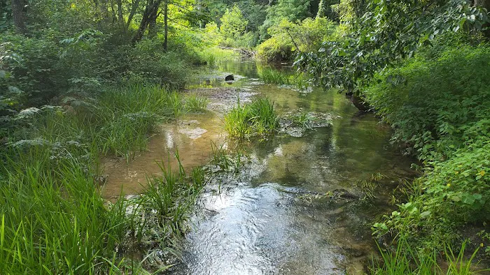 Markham Spring Recreation Area 5