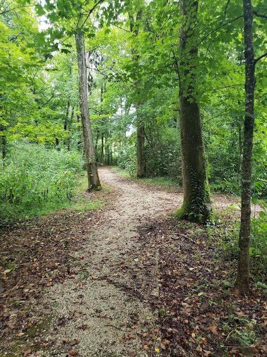Markham Spring Recreation Area 8