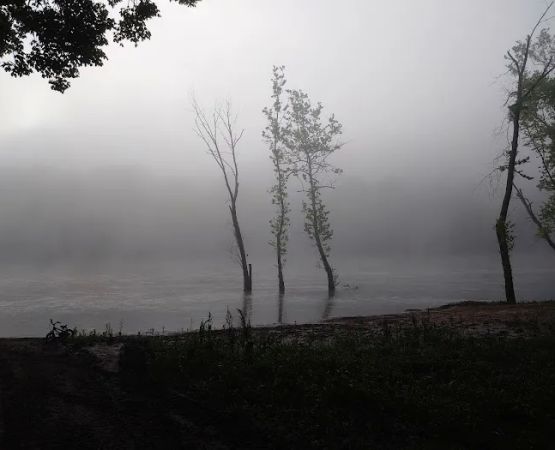 Shoey Camp grounds
