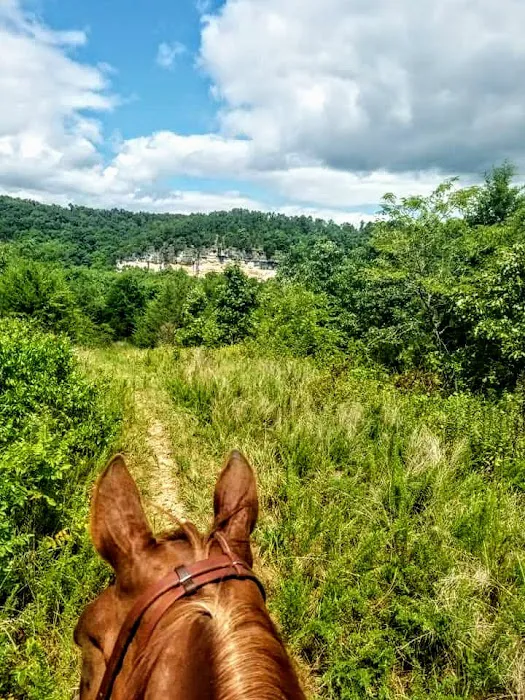 4-J Big Piney Horse Camp 2