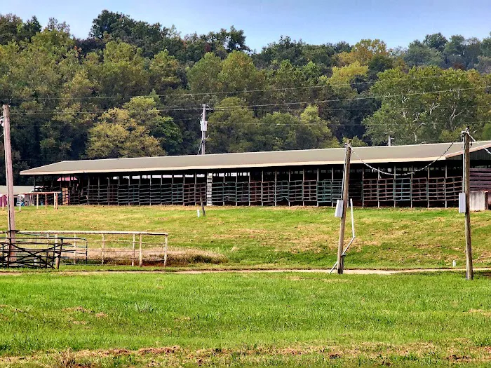 4-J Big Piney Horse Camp 0