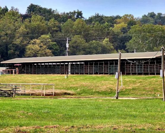 4-J Big Piney Horse Camp