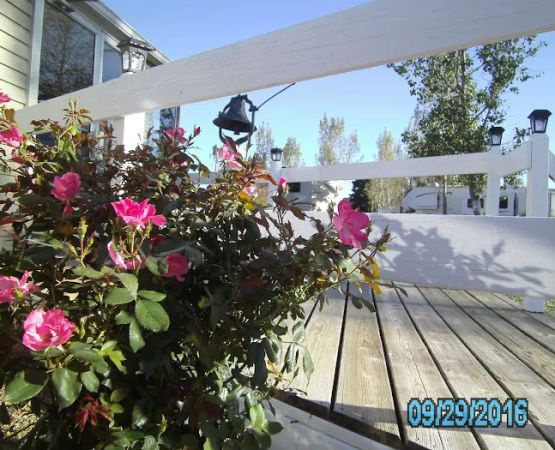 Lamplight Lane RV Resort at Glen Oaks
