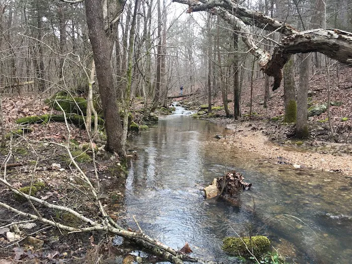 Big Piney Campground 1