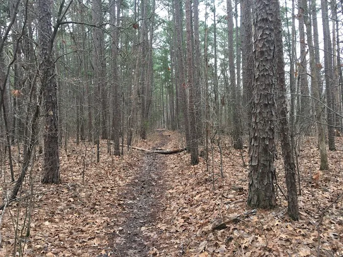 Big Piney Campground 2