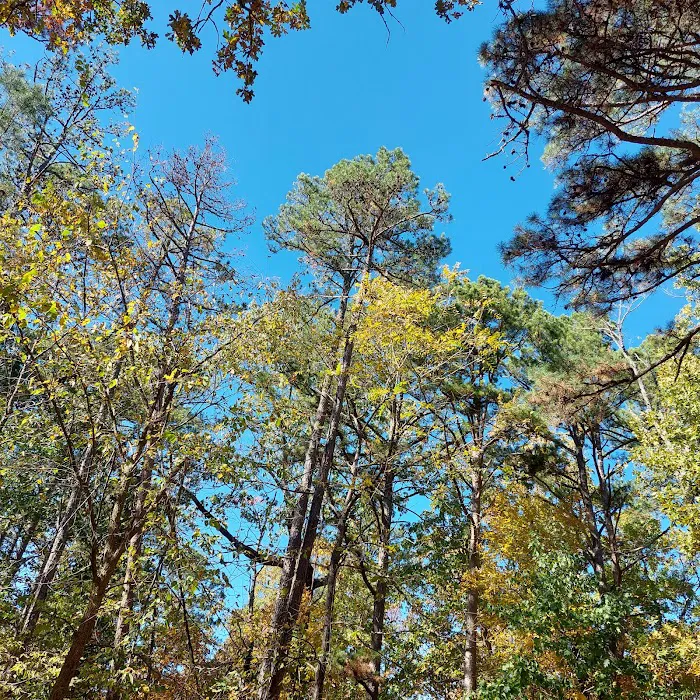 Big Piney Campground 6