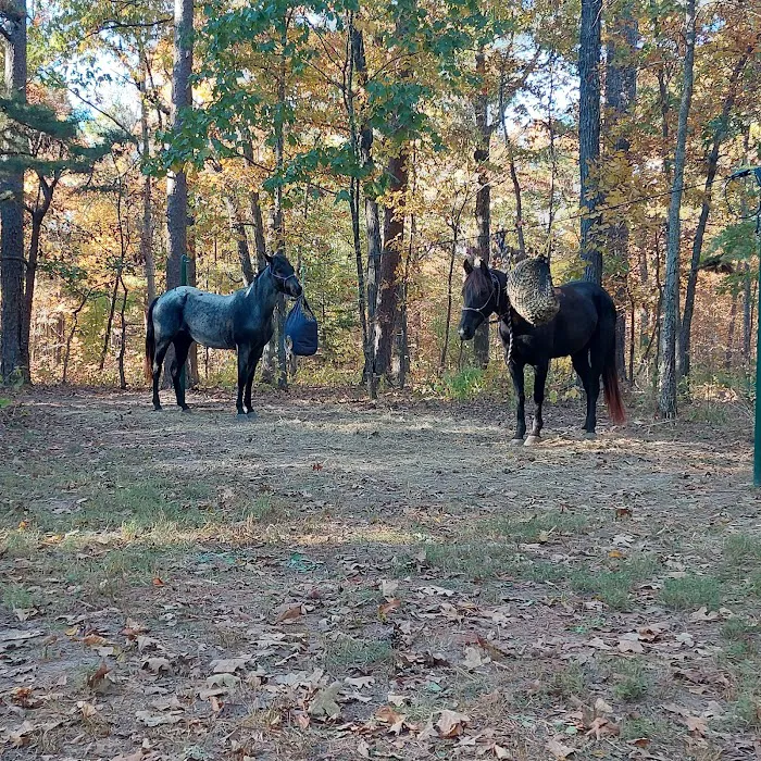 Big Piney Campground 9