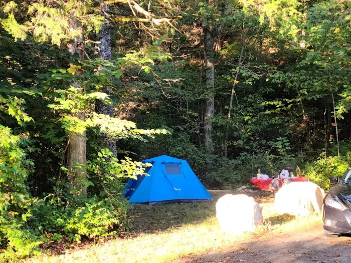 Paddy Creek Campground 2