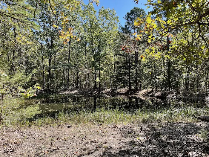 Paddy Creek Campground 1