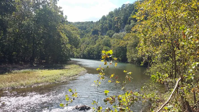 Paddy Creek Campground 5