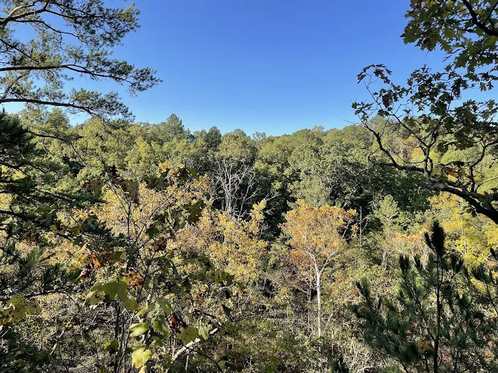 Paddy Creek Campground 4