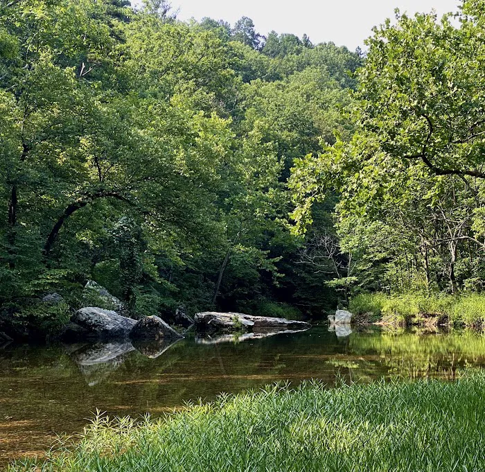 Paddy Creek Campground 6