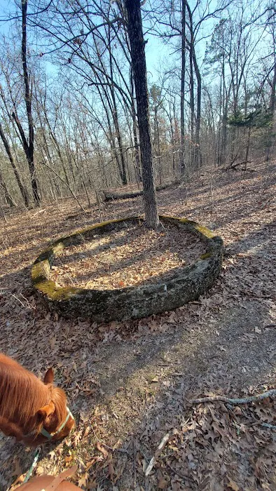 Paddy Creek Campground 8
