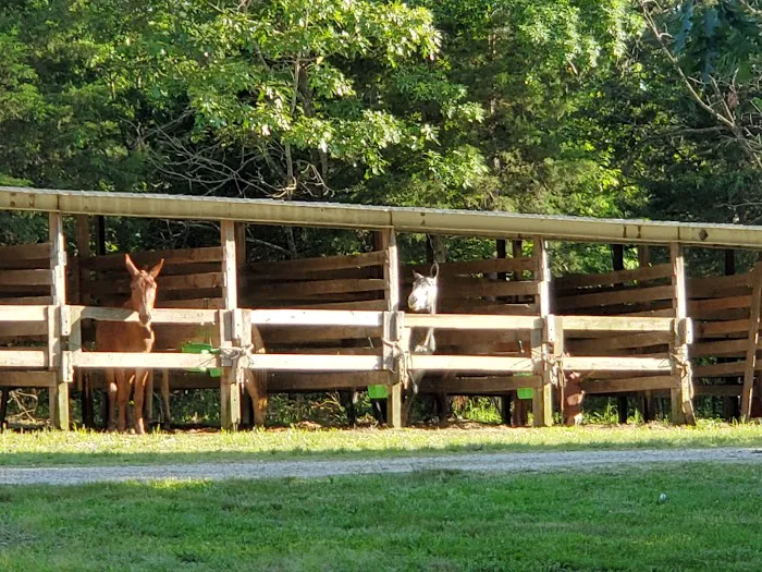 Slabtown Horse Camp LLC (formerly Slabtown Trail Rides) 0
