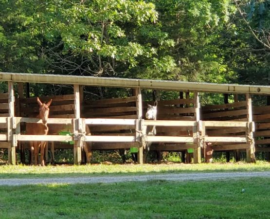 Slabtown Horse Camp LLC (formerly Slabtown Trail Rides)