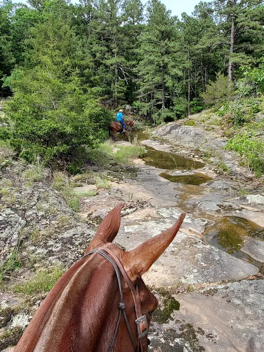 Slabtown Horse Camp LLC (formerly Slabtown Trail Rides) 6