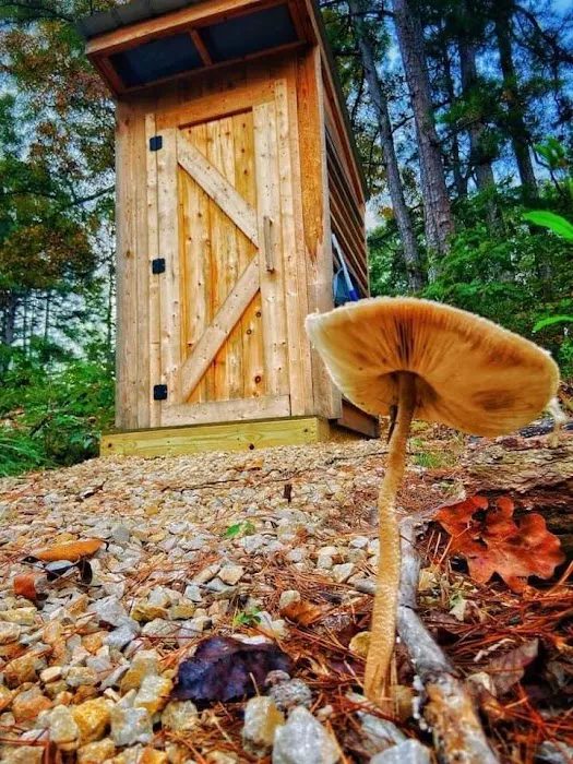 Two Rivers Ozark Cabins and Glamping Tents 8