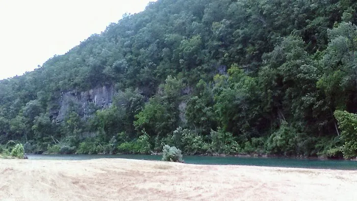 Logyard Campground 9