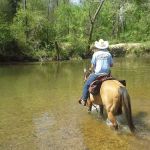 Shawnee Creek Horse Camp