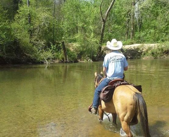 Shawnee Creek Horse Camp