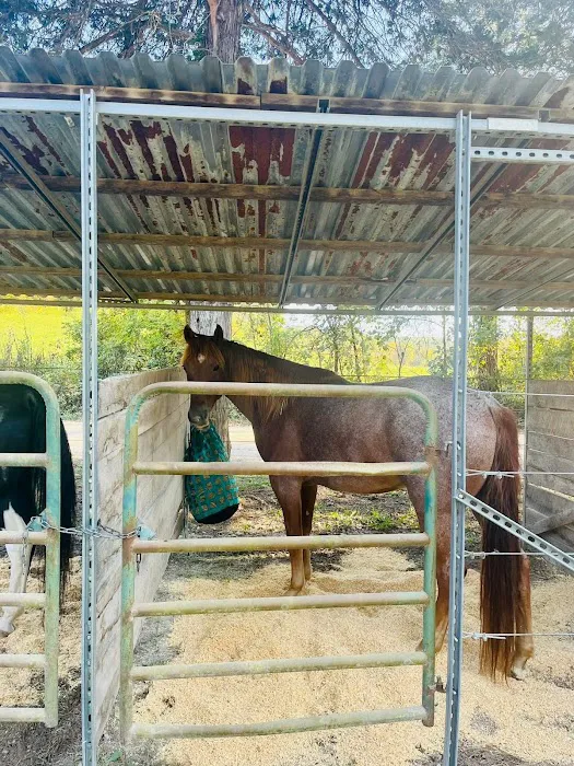Shawnee Creek Horse Camp 6