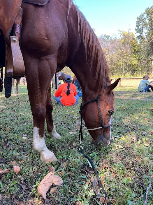 Shawnee Creek Horse Camp 8