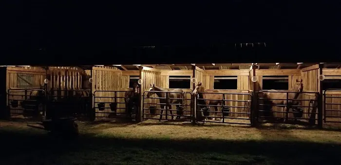 Horseshoe Holler Horse Camp 1