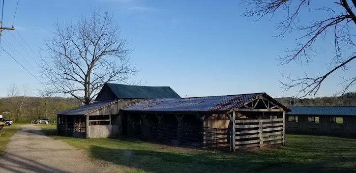 Horseshoe Holler Horse Camp 0