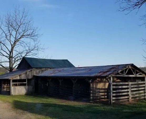 Horseshoe Holler Horse Camp