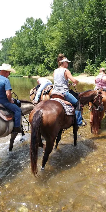 Horseshoe Holler Horse Camp 4