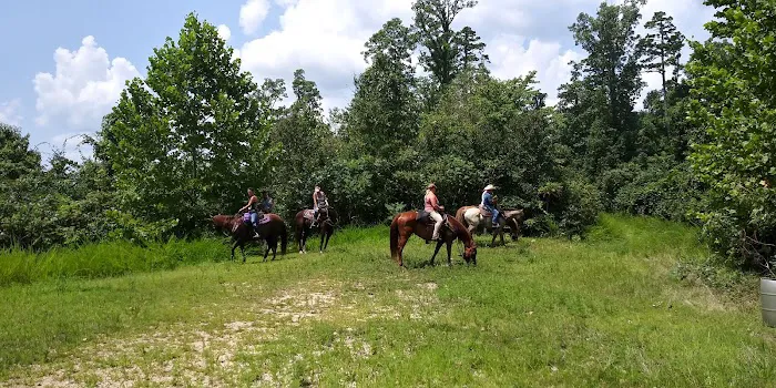 Horseshoe Holler Horse Camp 5