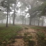 Alley Cat's Campground & RV Park