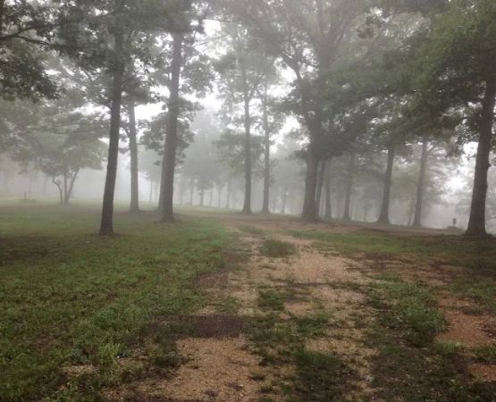 Alley Cat's Campground & RV Park