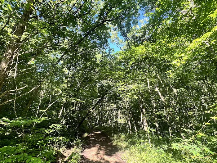 1855 Campground 9