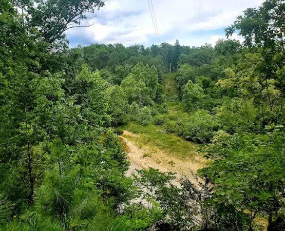Sutton Bluff Recreation Area