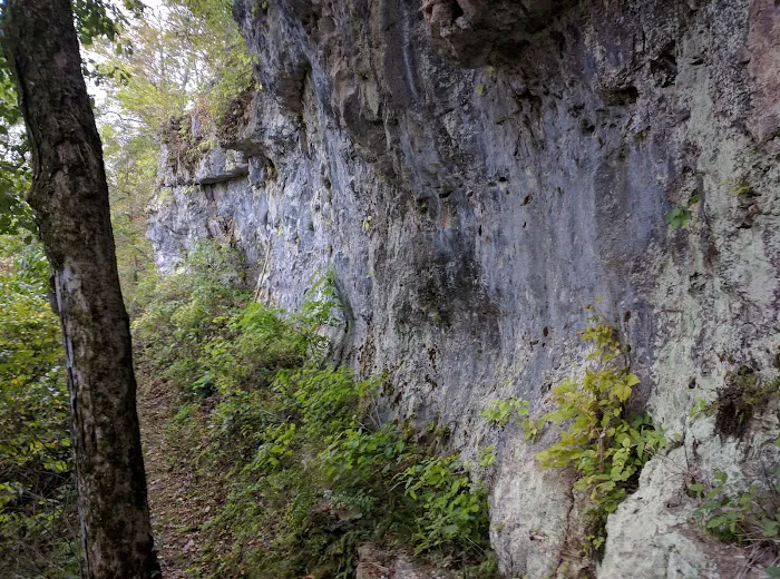 Sutton Bluff Recreation Area 6