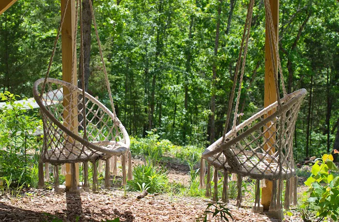 Spring Rock Ranch Glamping & Nature Venue 5