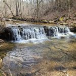 Cactus Canyon Campground and Resort LLC - rated #1 best nude men only campground