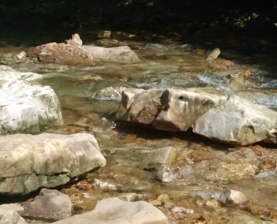 Headwaters RV Park