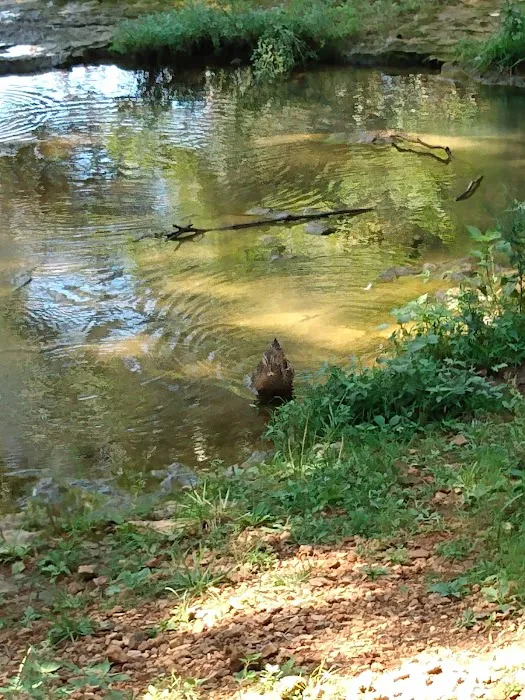 Ethan's Creek 3
