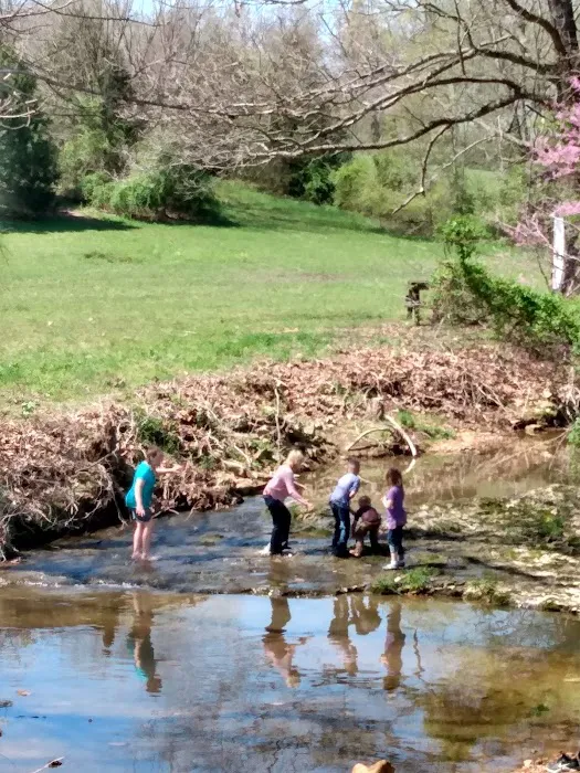Ethan's Creek 6