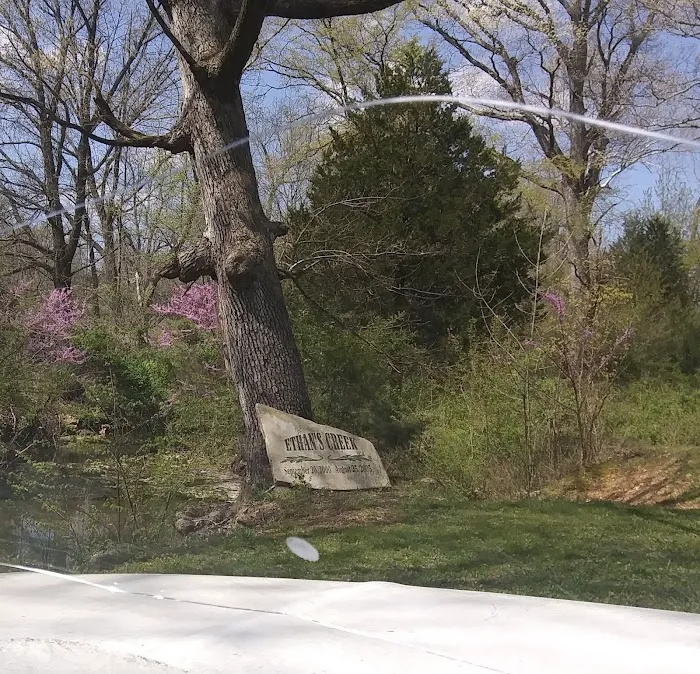 Ethan's Creek 7