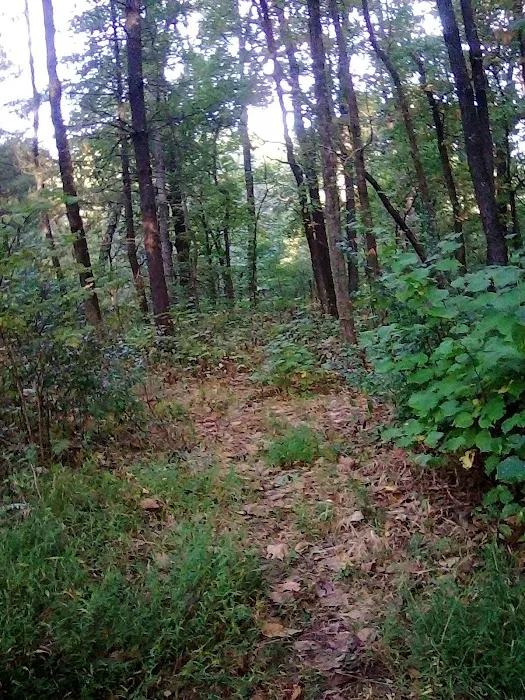Johnson Creek Recreation Area 6