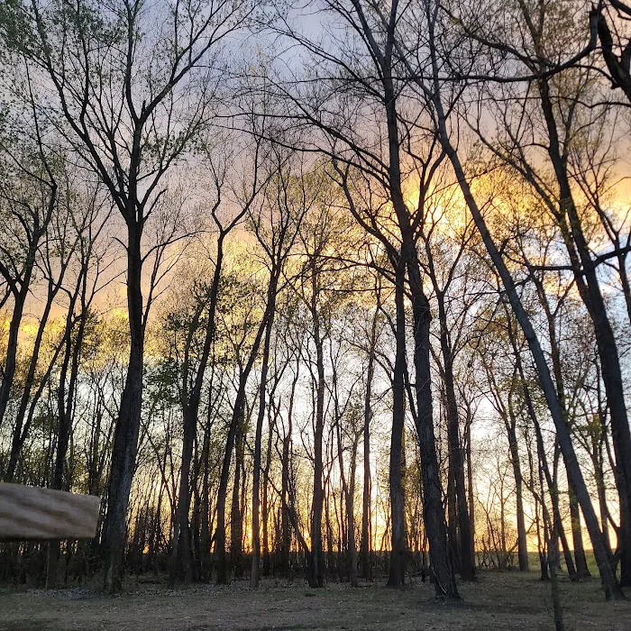 Kaskaskia River Project Campground 5