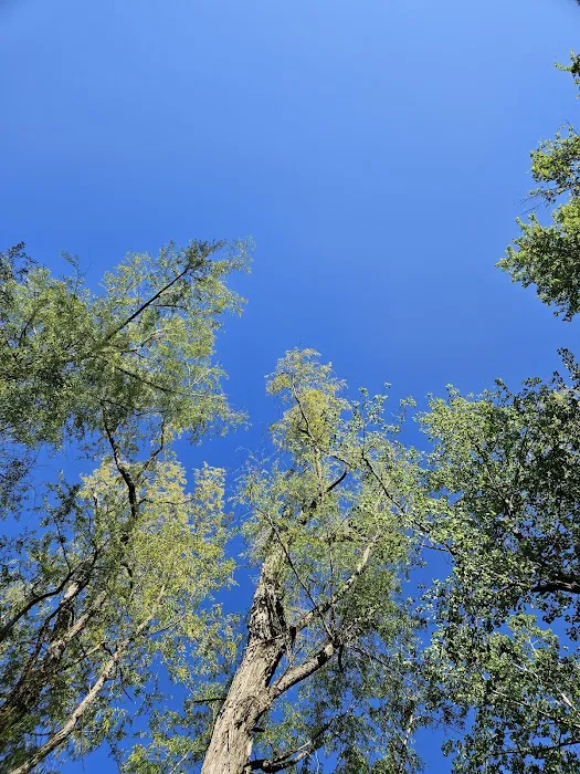 Kaskaskia River Project Campground 4